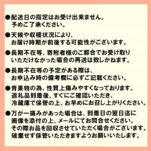 いちご 2パック (280g×2) あまおう いちごの王様 苺 イチゴ 果物 くだもの フルーツ 旬のフルーツ 季節のフルーツ 旬の果物 季節の果物 福岡 福岡県 小郡市 ※配送不可：沖縄、離島