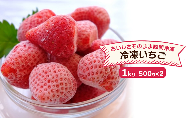 いちご 冷凍いちご 500g×2 イチゴ 苺 果物 デザート ベリー畑 福田ファーム ※配送不可：沖縄、離島