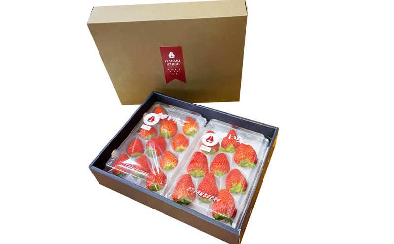 縺ゅ∪縺翫≧ 逕溘∪繧後b閧イ縺。繧らヲ丞イ。逵 繧、繝√ざ逡後ョ邇矩%シ√ぐ繝輔ヨ縺ォ譛驕ゥ 2繝代ャ繧ッ 蛹也イァ邂ア蜈・繧 繧ョ繝輔ヨ 雍医j迚ゥ 雍育ュ皮畑 譫懃黄 繝繧カ繝シ繝