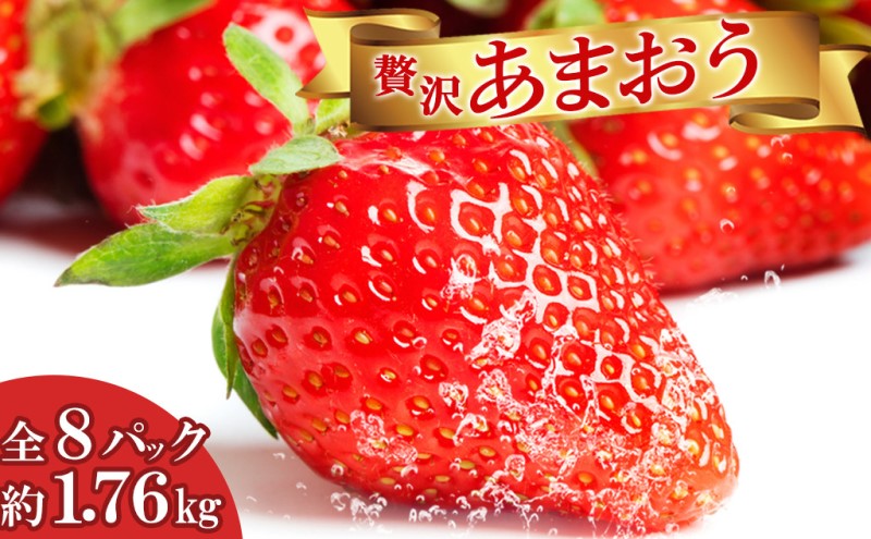 いちご 贅沢 あまおう 8パック 総重量 約1.7kg  果物 デザート 苺 イチゴ 果物 くだもの フルーツ 旬のフルーツ 季節のフルーツ 旬の果物 季節の果物 福岡 福岡県 小郡市