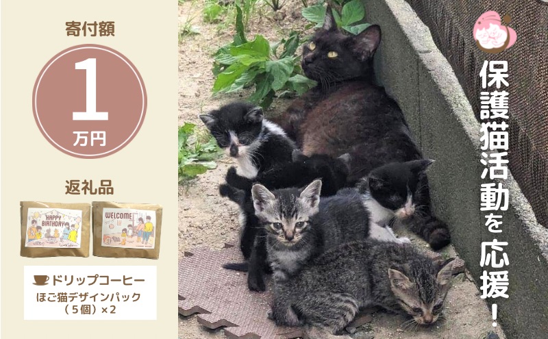ドリップコーヒー 10袋 (5袋×2) セット 詰め合わせ 保護猫活動を応援！ さくらねこサポートOGORI コーヒー 珈琲 ドリップパック ドリップパックコーヒー ドリップバック ドリップバックコーヒー ドリップ 飲料 福岡 福岡県 小郡市