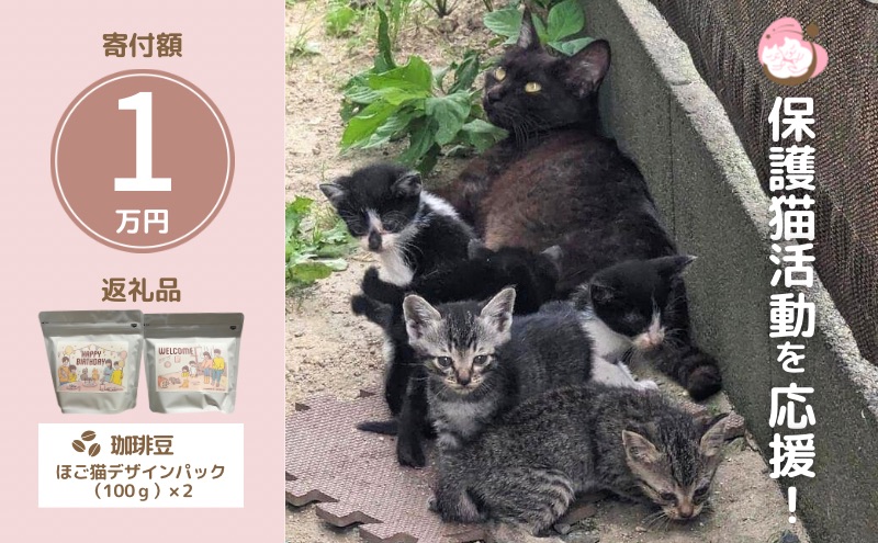 コーヒー豆 200g (100g×2袋) セット 詰め合わせ 保護猫活動を応援！ さくらねこサポートOGORI コーヒー 珈琲 珈琲豆 ドリップコーヒー コーヒードリップ ドリップ 飲料 福岡 福岡県 小郡市