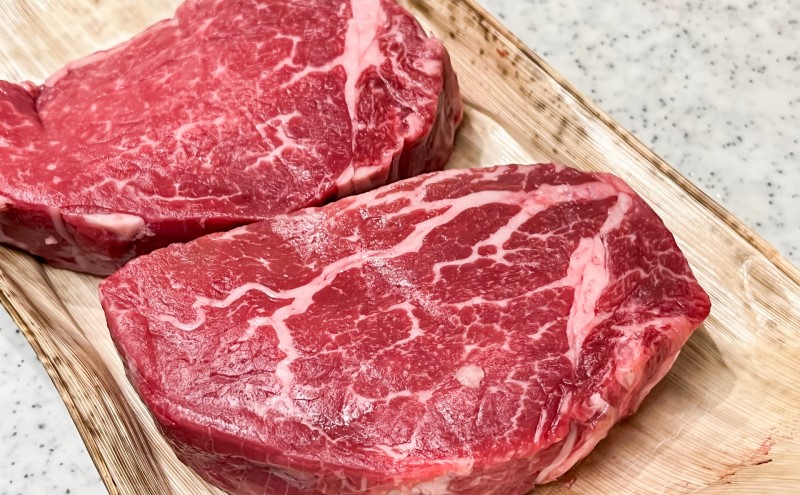博多和牛 A4～A5 ヒレ ステーキ 450g (150g×3枚) 肉 牛肉 ※配送不可：離島 