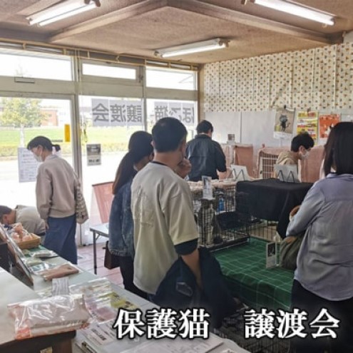 花瓶 さくらねこサポート アルダー製 フラワーベース 2本 インテリア 