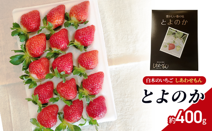 いちご いちご職人 白木のいちご しあわせもん とよのか 化粧箱 1箱 イチゴ 苺 果物 デザート ※配送不可：沖縄・離島