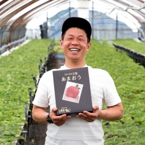 いちご いちご職人 白木のいちご 「あまおう2P」と「旬のいちご2P」 食べ比べ セット イチゴ 苺 果物 デザート ※配送不可：沖縄・離島