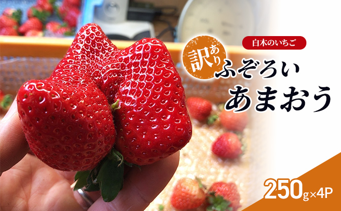 訳あり いちご いちご職人 白木のいちご あまおう ふぞろいな「いちご」たち 250g×4P 訳アリ イチゴ 苺 果物 デザート ※配送不可：沖縄・離島