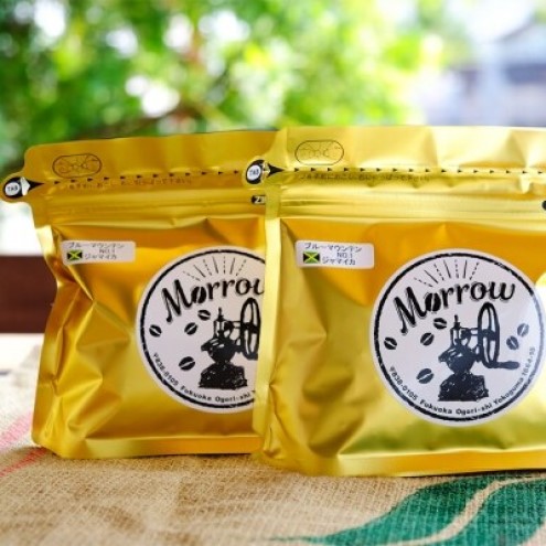 ã³ãŒããŒè± å®æäŸ¿ 12ã¶æ èªå®¶çç
Morrowçç² ãã«ãŒããŠã³ãã³ 400g (200gÃ2) ã¹ãã¬ãŒã ã¬ã®ã¥ã©ãŒã³ãŒã㌠çç² ã³ãŒããŒè± çç²è± ããªããã³ãŒã㌠ããªãã èªå®¶çç
çç² èªå®¶çç
ã³ãŒã㌠12å ãæ¥œãã¿ çŠå²¡ çŠå²¡ç å°é¡åž