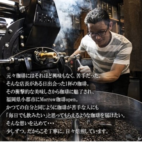 定期便 12ヶ月 自家焙煎 ブルーマウンテン NO1・ゲイシャ (豆) 各200g×12ケ月 ポスト投函 コーヒー 珈琲 12回 お楽しみ Morrow珈琲