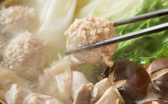 鶏 水炊き ハーブ鶏 九州産 2人前×2セット 計4人前 福岡県の名物 鶏水炊き ※配送不可:離島