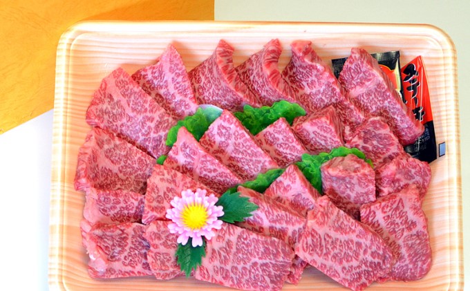 牛肉 肩ロース ミニステーキ A5～A4 博多和牛 400g ソース 塩胡椒付 化粧箱入 ※配送不可:離島