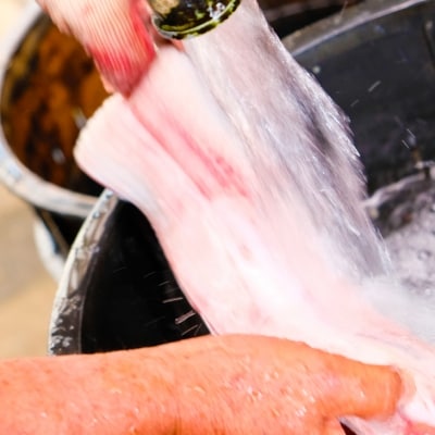 定期便 6回 うなぎ 職人による手焼き うなぎの蒲焼き 定期便(1尾×6ヵ月) ウナギ