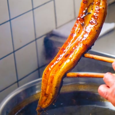 定期便 6回 うなぎ 職人による手焼き うなぎの蒲焼き 定期便(1尾×6ヵ月) ウナギ