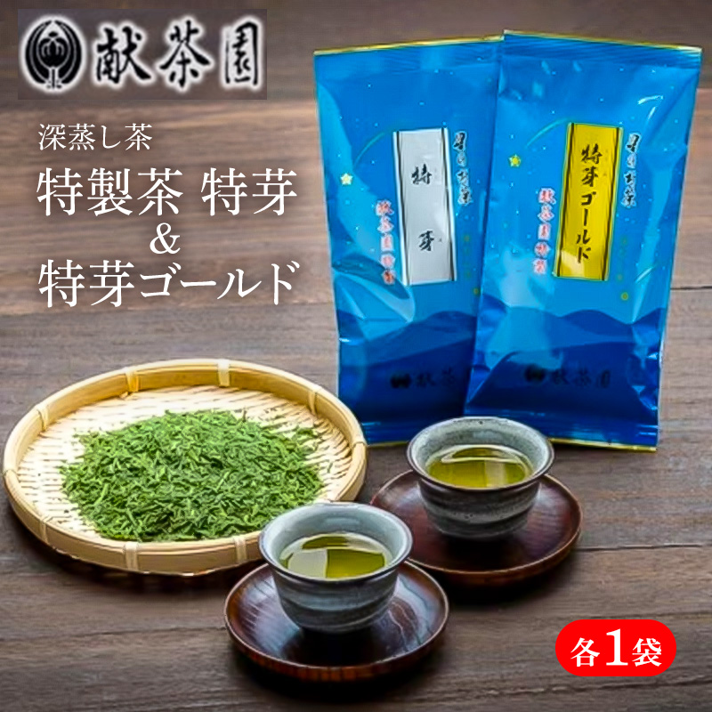 お茶 深蒸し茶 献茶園 特製茶 特芽 & 特芽ゴールド 八女茶 茶 緑茶