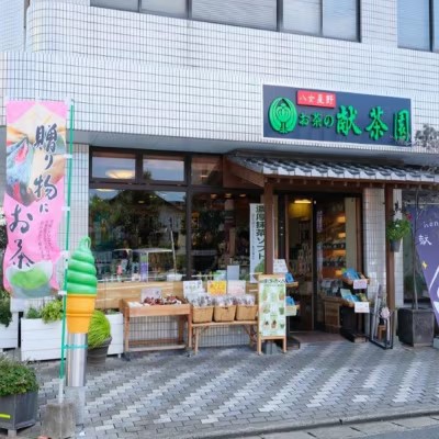お茶 献茶園 オリジナル 深蒸し茶 特芽ゴールド (100g×3袋) 八女茶 茶 緑茶