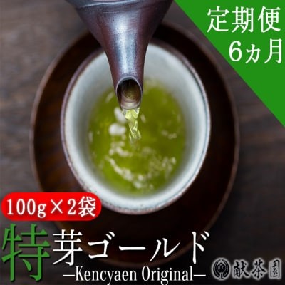 定期便 6ヶ月 献茶園 オリジナル 深蒸し茶 特芽ゴールド 100g×2袋 八女茶 6回 お茶 茶 緑茶