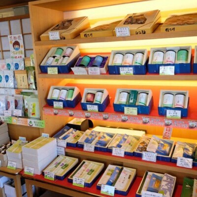 定期便 3ヶ月 献茶園 オリジナル 深蒸し茶 特芽ゴールド 100g×2袋 八女茶 3回 お茶 茶 緑茶