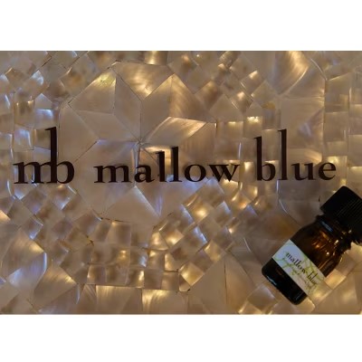 定期便 4回 アロマ オイル 季節の香る オリジナル ブレンドアロマ エッセンシャルオイル 4種 各5ml アロマオイル (3ヶ月に一度) 【ポスト投函】