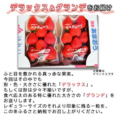 いちご 4パック 博多あまおう デラックス グランデ セット 詰め合わせ おまおう 苺 イチゴ 果物 くだもの フルーツ 旬のフルーツ 季節のフルーツ 旬の果物 季節の果物 福岡 福岡県 小郡市 お申込：2026年1月25日迄