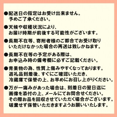 いちご 4パック 博多あまおう デラックス グランデ セット 詰め合わせ おまおう 苺 イチゴ 果物 くだもの フルーツ 旬のフルーツ 季節のフルーツ 旬の果物 季節の果物 福岡 福岡県 小郡市 お申込：2026年1月25日迄