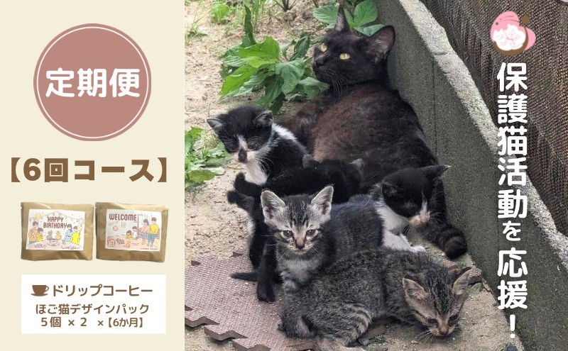 定期便 6回 コーヒー 保護猫活動を応援！ ドリップバッグ 10袋×6カ月 珈琲 ドリップコーヒー