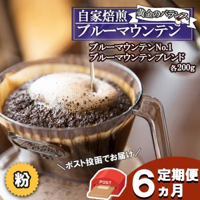 定期便 6ヶ月 黄金のバランス ブルーマウンテン (粉・増量)【ポスト投函】 2種 各200g