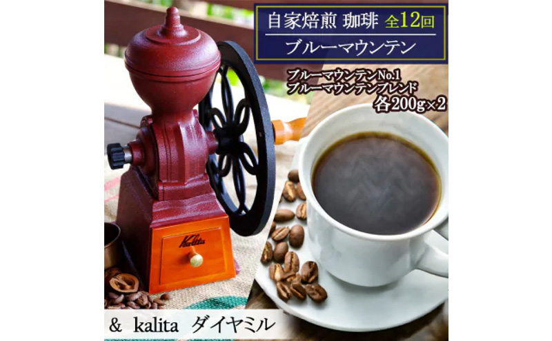 定期便 12回 自家焙煎 ブルーマウンテン 12ヶ月&ダイヤミル(200g×2×12回) お楽しみ Morrow珈琲