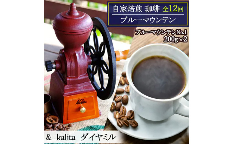 定期便 12回 自家焙煎 ブルーマウンテン(ストレート)  12ヶ月 &ダイヤミル(200g×2×12回) お楽しみ Morrow珈琲