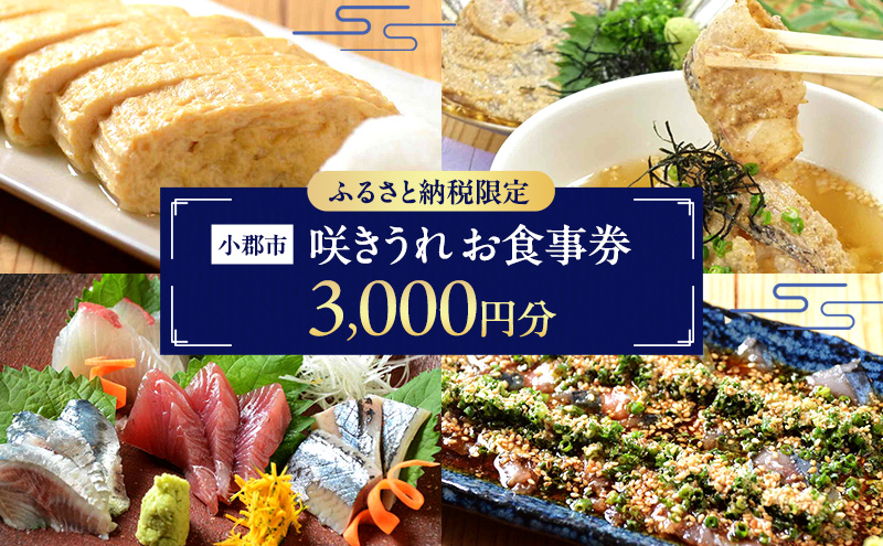 ふるさと納税限定！お食事券 3,000円 (1,000円券×3枚) 食事券 チケット
