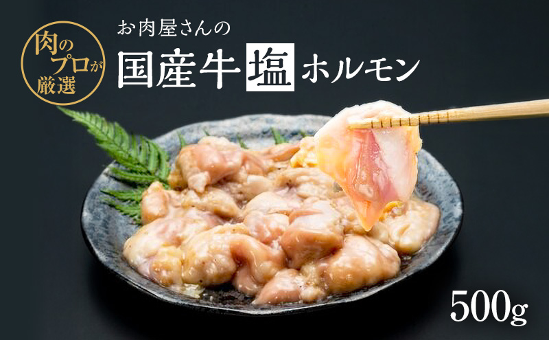 ホルモン お肉屋さんの国産牛 塩ホルモン 500g 国産牛 肉 味付け 牛肉