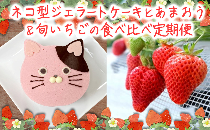 2回お届け いちご ジェラートケーキ あまおうと旬のいちご 各2パック いちご職人 白木のいちご あまおうづくし 2回 コース イチゴ 苺 果物 デザート お楽しみ ※配送不可：沖縄・離島