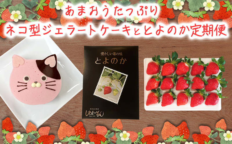 2回お届け いちご ジェラートケーキ とよのか 1箱 化粧箱入り いちご職人 白木のいちご あまおうづくし 2回 コース イチゴ 苺 果物 デザート お楽しみ ※配送不可：沖縄・離島