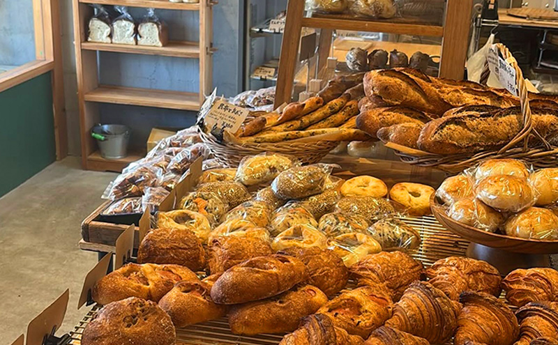 定期便 3ヶ月 パン 冷凍パン 詰め合わせ セット ふるさと納税限定 3回 おたのしみ ※配送不可：離島