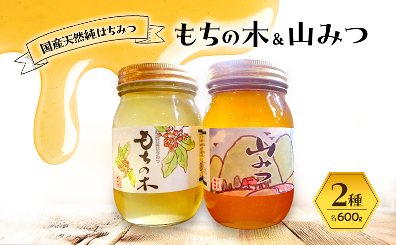 はちみつ もちの木／山みつ 各600g セット 蜂蜜 2種