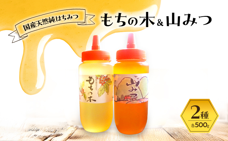 はちみつ もちの木／山みつ 各500g セット 蜂蜜 2種