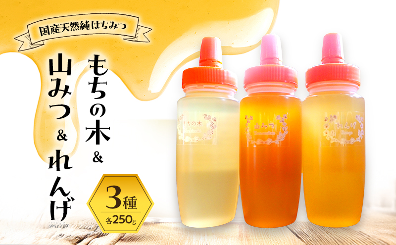 はちみつ もちの木／山みつ／れんげ 各250g×3 セット 蜂蜜 3種