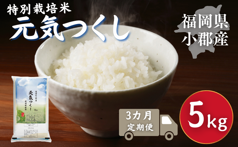 定期便 3回 特別栽培米 R7年度産 福岡県 小郡産 元気つくし 5kg 米 お米 3ヶ月