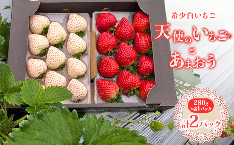 いちご 『先行予約』【2026年1月上旬以降お届け】 天使のいちご 大粒白いちご 280g×1p 厳選あまおうDX 280g×1p 計2パック 560g フルーツ いちご 果物 デザート ※配送不可：沖縄、離島
