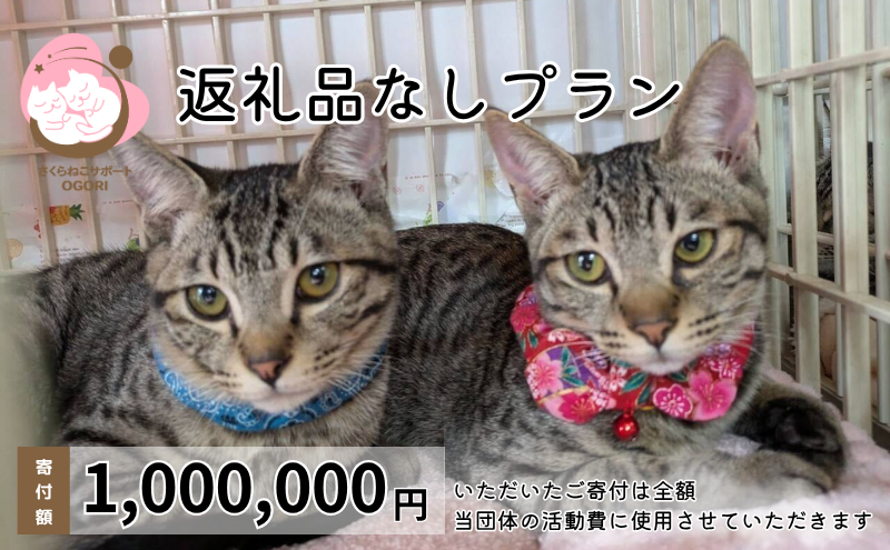 保護猫活動を応援！ 返礼品無し 1,000,000円（お礼状送付） 保護猫