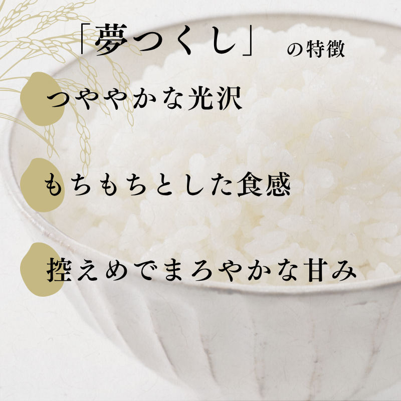 螳壽悄萓ソ 3蝗 迚ケ蛻・譬ス蝓ケ邀ウ 遖丞イ。逵 蟆城Γ逕」 螟「縺、縺上@ 5kg 邀ウ 縺顔アウ 3繝カ譛