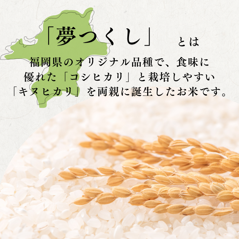 螳壽悄萓ソ 3蝗 迚ケ蛻・譬ス蝓ケ邀ウ 遖丞イ。逵 蟆城Γ逕」 螟「縺、縺上@ 5kg 邀ウ 縺顔アウ 3繝カ譛