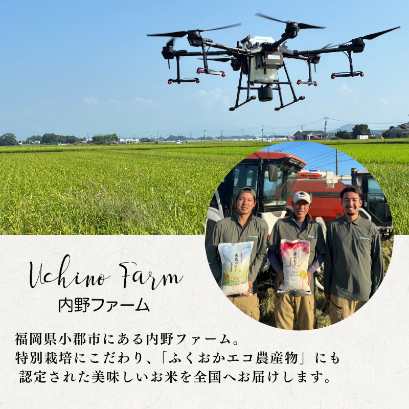 螳壽悄萓ソ 3蝗 迚ケ蛻・譬ス蝓ケ邀ウ 遖丞イ。逵 蟆城Γ逕」 螟「縺、縺上@ 5kg 邀ウ 縺顔アウ 3繝カ譛