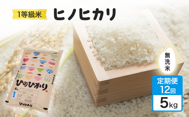 令和7年度 定期便 12回 米 1粒からこだわる 1等級米 ヒノヒカリ 無洗米 5kg お米 コメ お楽しみ 12ヶ月 令和7年度産