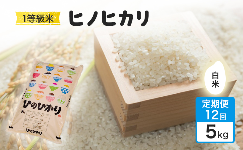 令和7年度 定期便 12回 米 1粒からこだわる 1等級米 ヒノヒカリ 白米5kg お米 コメ お楽しみ 12ヶ月 令和7年度産