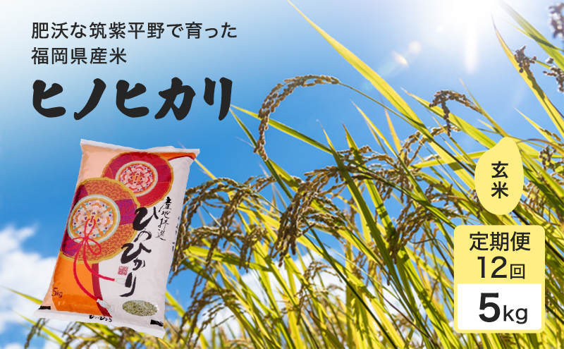 令和7年度 定期便 12回 米 1粒からこだわる 1等級米 ヒノヒカリ 玄米5kg お米 コメ お楽しみ 12ヶ月 令和7年度産