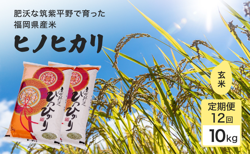 令和7年度 定期便 12回 米 1粒からこだわる 1等級米 ヒノヒカリ 玄米10kg お米 コメ お楽しみ 12ヶ月 令和7年度産