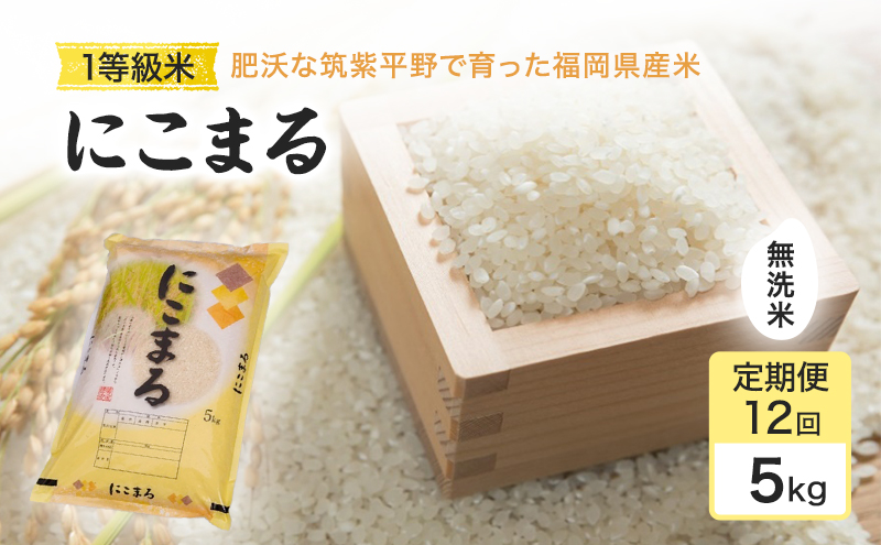 令和7年度 定期便 12回 米 1粒からこだわる 1等級米 にこまる 無洗米5kg お米 コメ お楽しみ 12ヶ月 令和7年度産