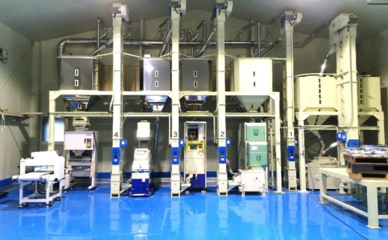 令和7年度 定期便 12回 米 1粒からこだわる 1等級米 にこまる 無洗米5kg お米 コメ お楽しみ 12ヶ月 令和7年度産