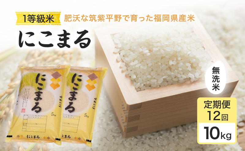 令和7年度 定期便 12回 米 1粒からこだわる 1等級米 にこまる 無洗米10kg お米 コメ お楽しみ 12ヶ月 令和7年度産