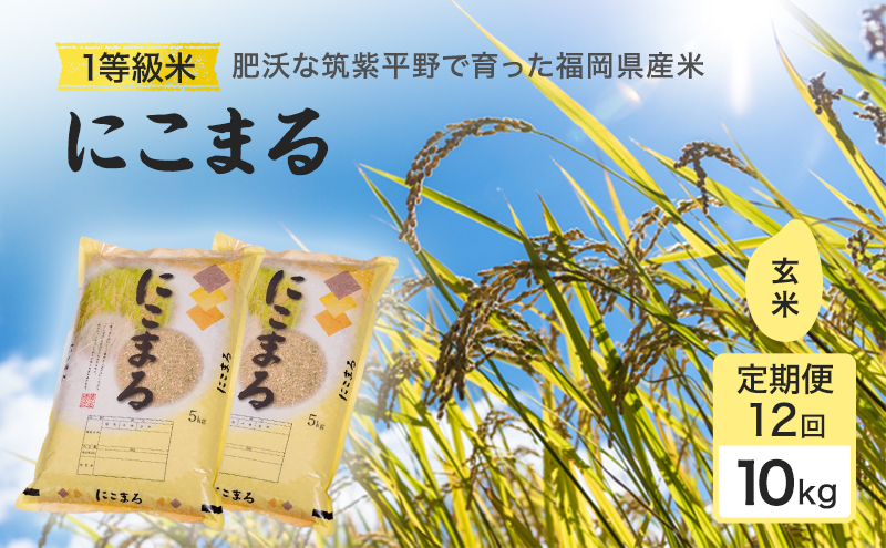 令和7年度 定期便 12回 米 1粒からこだわる1等級米 にこまる 玄米(10kg×12回） お米 コメ お楽しみ 12ヶ月 令和7年度産